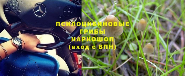 молекула духа Армянск